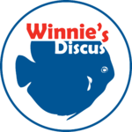 Winnie's Discus's Avatar