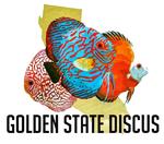 Golden State Discus's Avatar