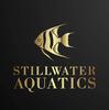 Stillwater Aquatics's Avatar